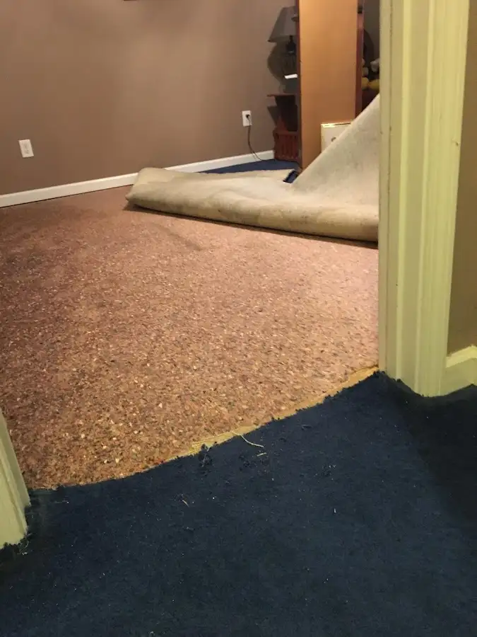 Carpet pad removal revealing water damage during Drying & Dehumidification in Saddle Brook