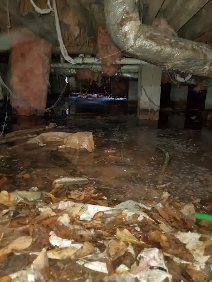 Crawl space flood assessment for Leak Detection & Repair in Saddle Brook